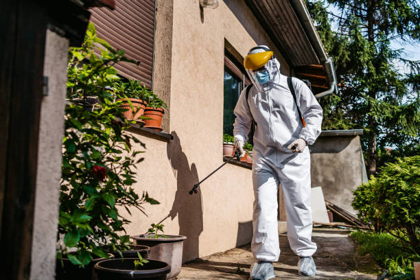 Best Bed Bug Extermination  in Lipscom, AL
