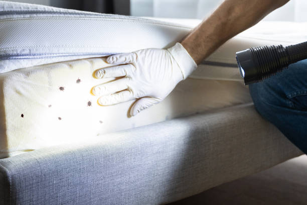 Professional Pest Control in Lipscom, AL