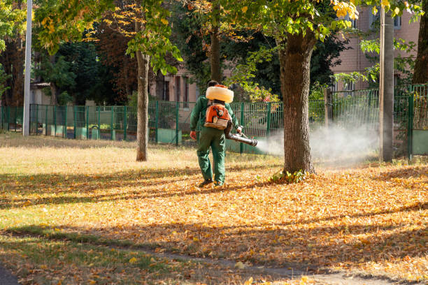 Pest Control Cost in Lipscom, AL