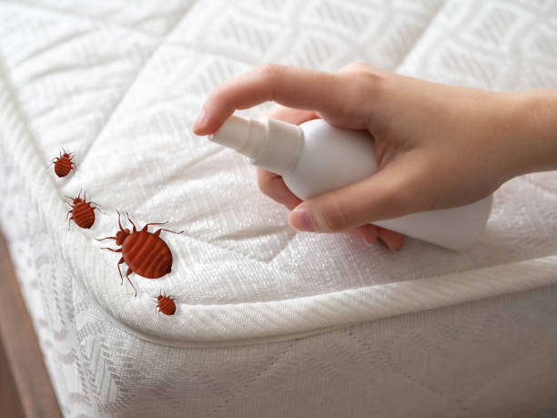 Best Pest Prevention Services  in Lipscom, AL
